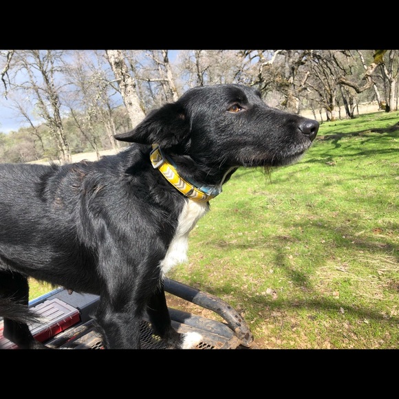 Meet your Posher, F - Picture 1 of 1